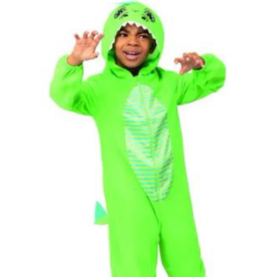 Childs Dinosaur Costume Green (Age 4-6)