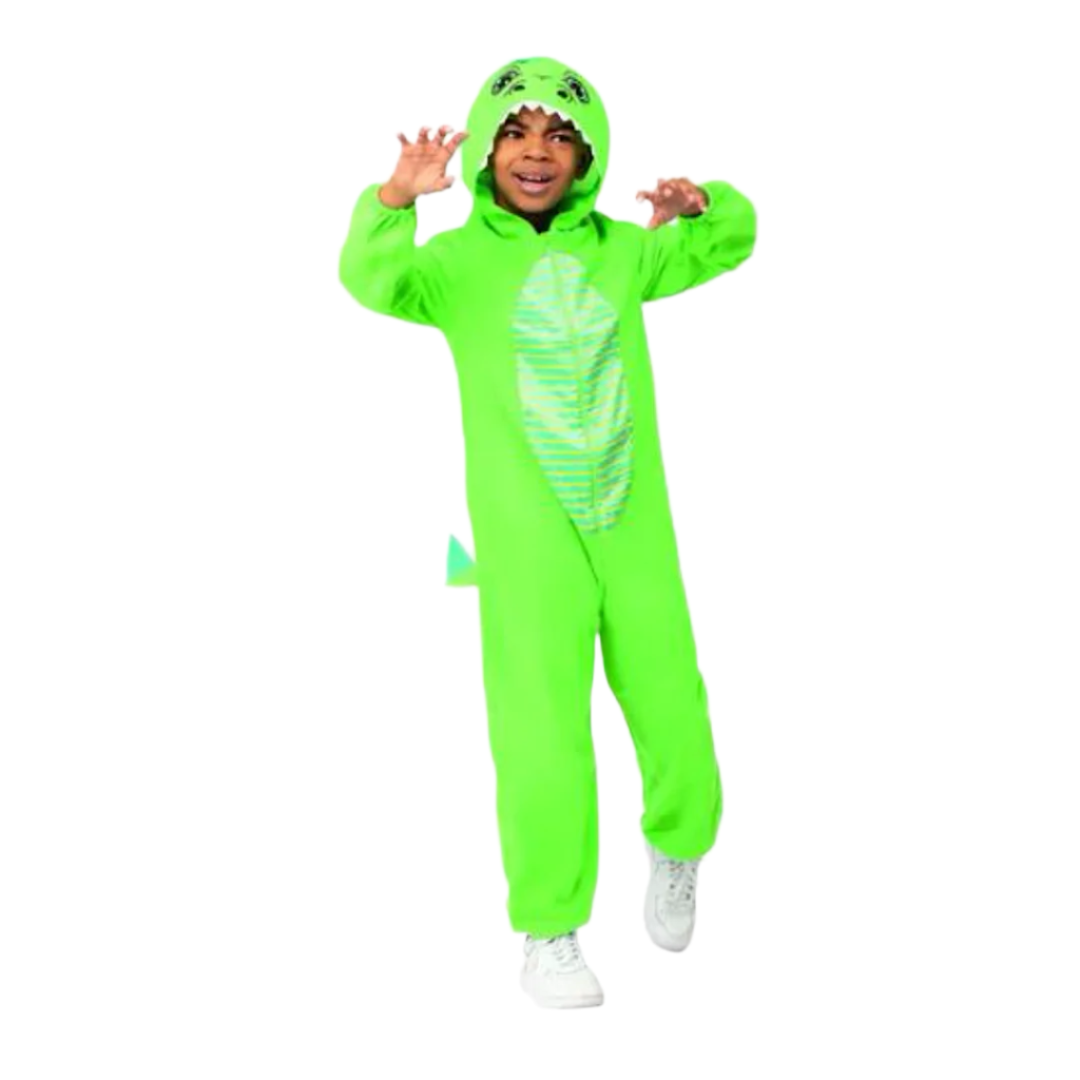 Childs Dinosaur Costume Green (Age 4-6)