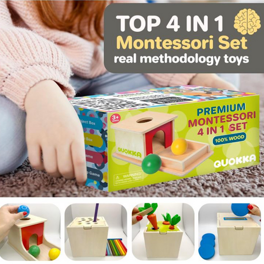 Quokka Montessori Toys 4 in 1