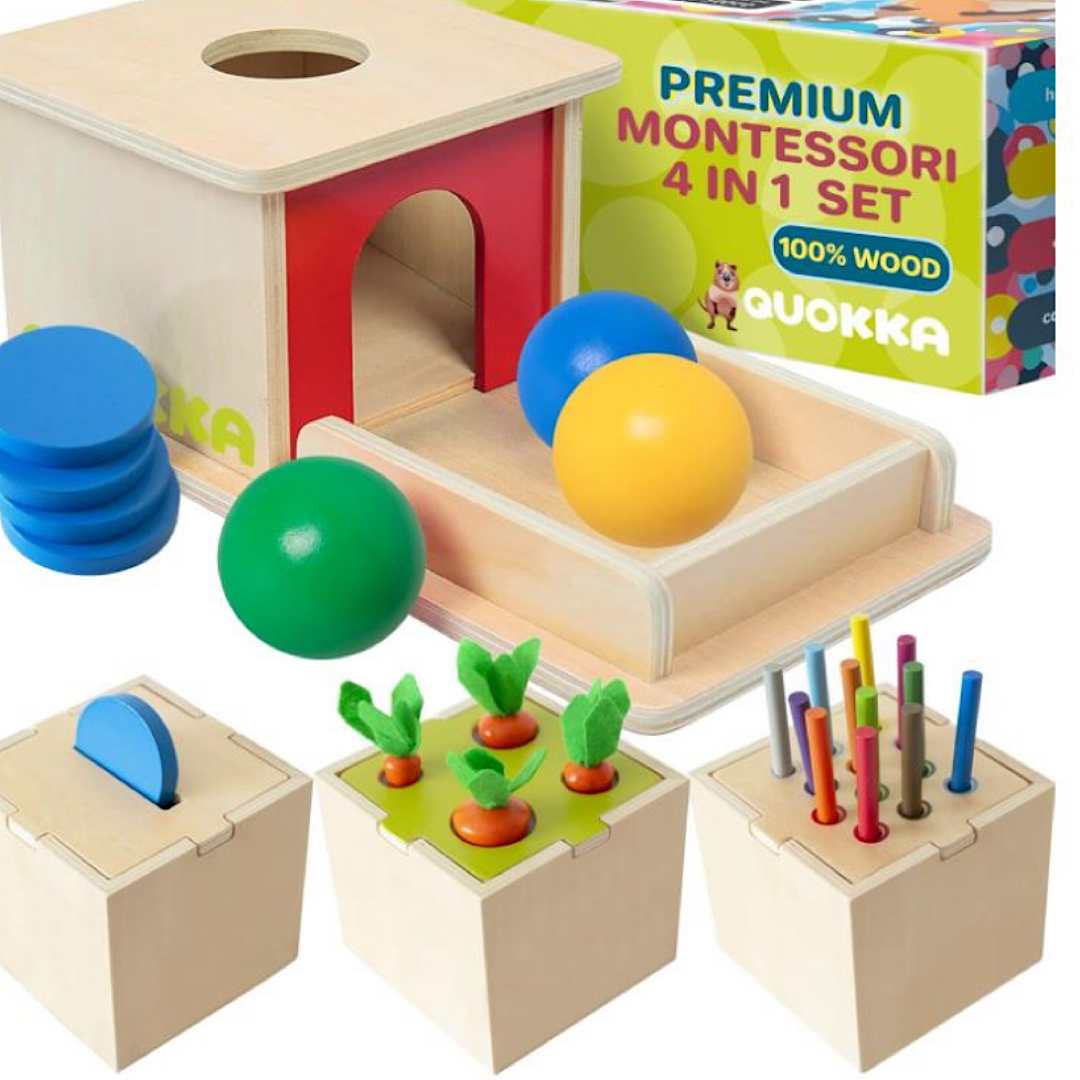 Quokka Montessori Toys 4 in 1