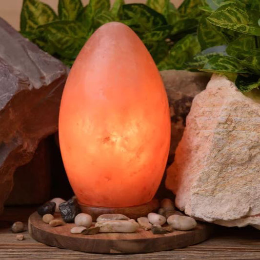 Egg Shaped Rock Salt Lamp with Wooden Base