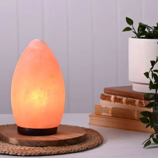 Egg Shaped Rock Salt Lamp with Wooden Base