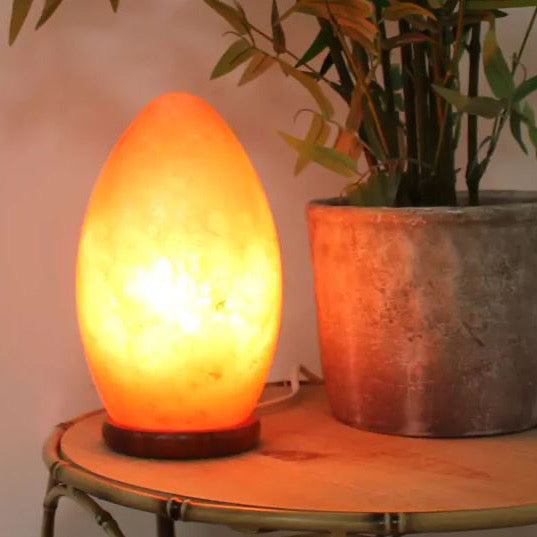 Egg Shaped Rock Salt Lamp with Wooden Base